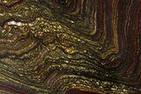 Polished Tiger Iron Stromatolite Slab - Billion Years #351978-2